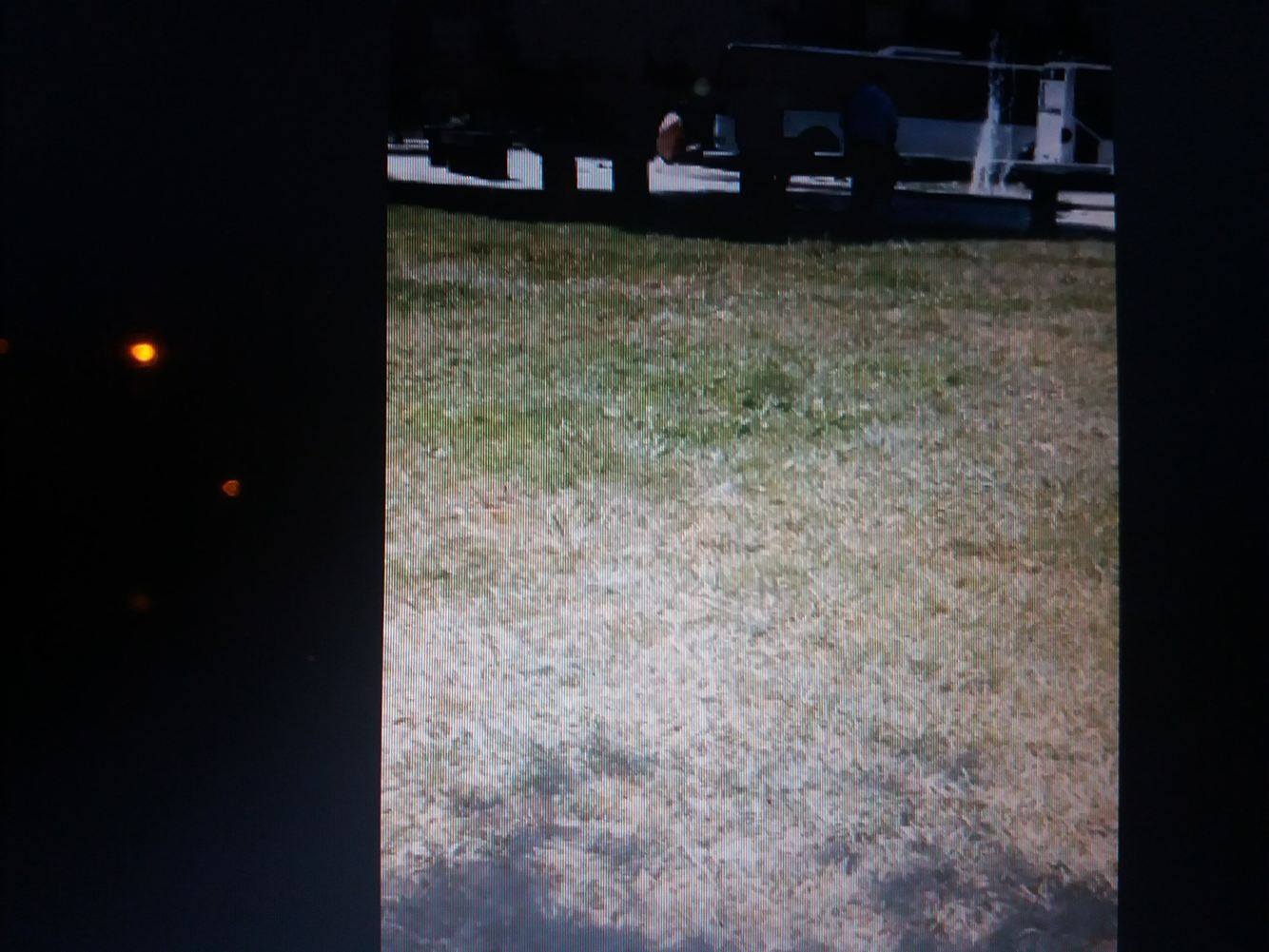 VIDEO/ Rroftë rilindja nudo në mes të Tiranës