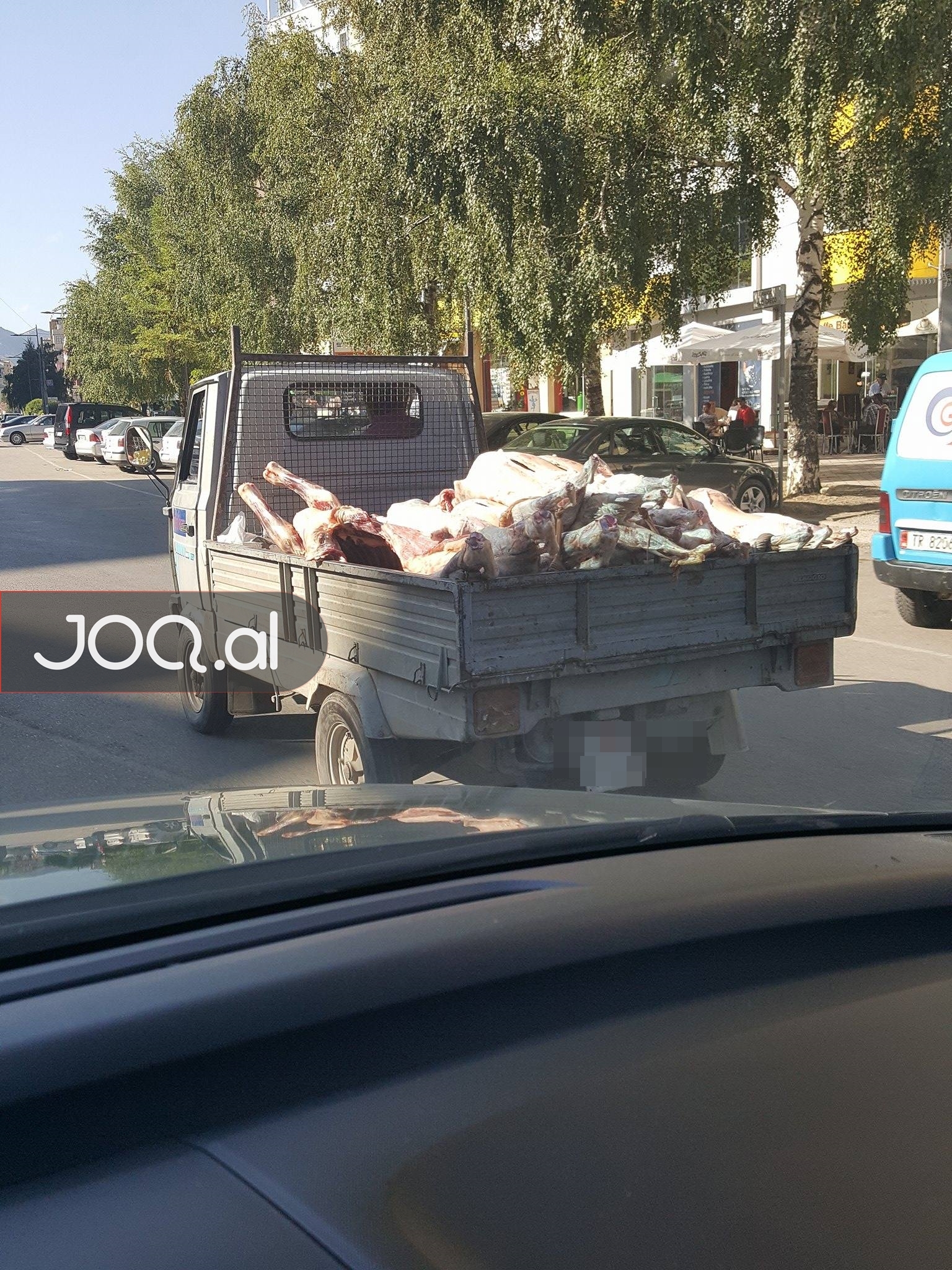 FOTO SKANDALOZE/ Ja çfarë mishi konsumojmë ne dhe në çfarë kushtesh transportohet