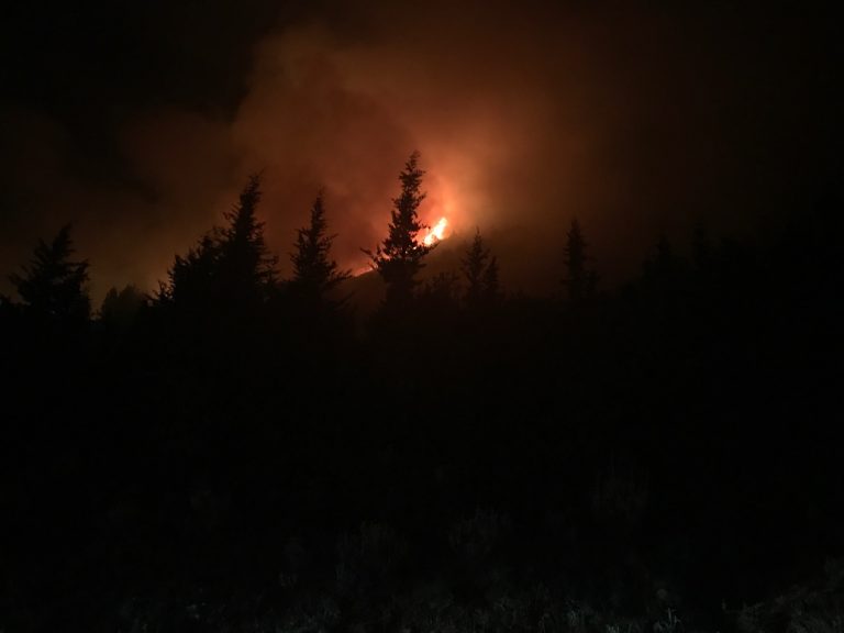 FOTO GALERI/ Dukat, zjarri “hyn” në fshat, banorët “marrin arratinë” dhe apelojnë për ndihmë