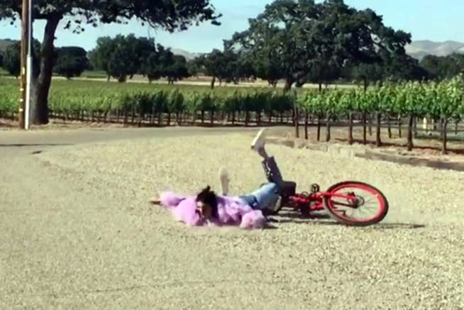 Shkodër, qentë sulmojnë dhe rrëzojnë 57- vjeçare nga biçikleta