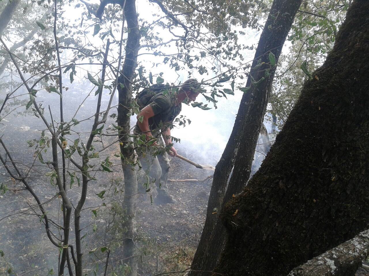 FOTO/ Lufta për shuarjen e zjarreve, mbi 300 efektivë të Forcave të Armatosura të angazhuar