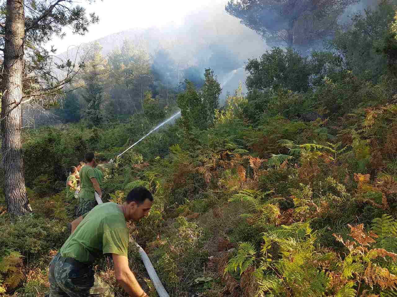 FOTO/ Lufta për shuarjen e zjarreve, mbi 300 efektivë të Forcave të Armatosura të angazhuar