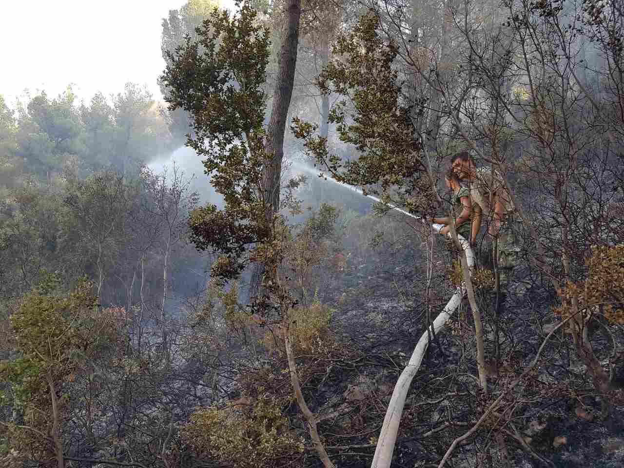 FOTO/ Lufta për shuarjen e zjarreve, mbi 300 efektivë të Forcave të Armatosura të angazhuar
