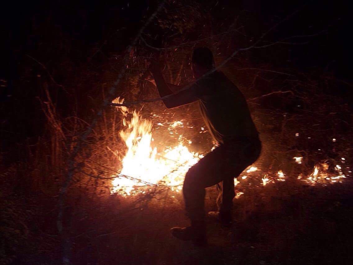 Operacionet për shuarjen e zjarreve, ja sa forca janë angazhuar nga FA