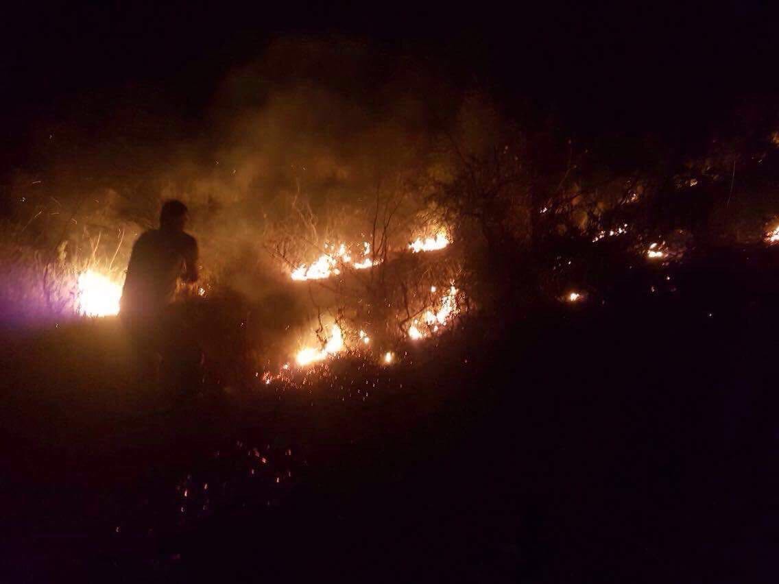 Operacionet për shuarjen e zjarreve, ja sa forca janë angazhuar nga FA