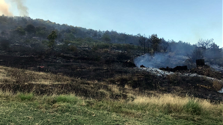 DETAJE & FOTO/ Pogradec, plagoset punonjësi i bashkisë, po shuante zjarrin dhe shkeli një send që shpërtheu