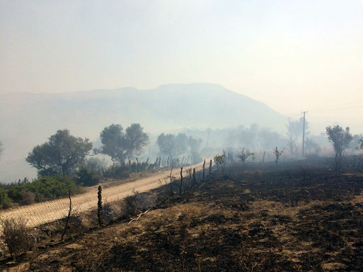 FOTO GALERI/ Mallakastër, fshatari i vë flakën fshatit, digjen 3 banesa në Çorrush