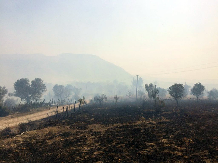 FOTO GALERI/ Mallakastër, fshatari i vë flakën fshatit, digjen 3 banesa në Çorrush