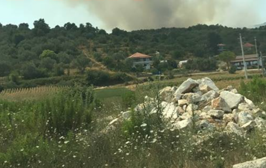 FOTO/ Lushnjë, digjen kodrat e Ardenicës, pishat dhe ullishtat