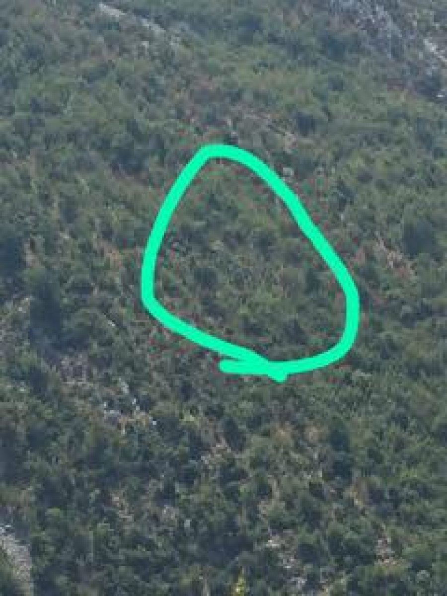 EMRAT/ Zbulohen pronarët e tokave me kanabis që mbrohen nga “Noriega”