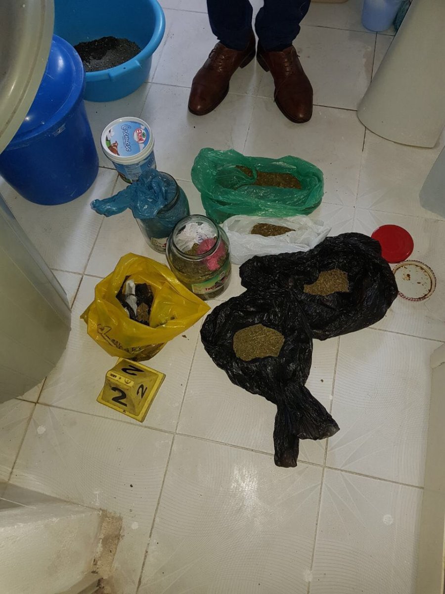 FOTO/ Komposto dhe reçel me kanabis, arrestohet shkodrani