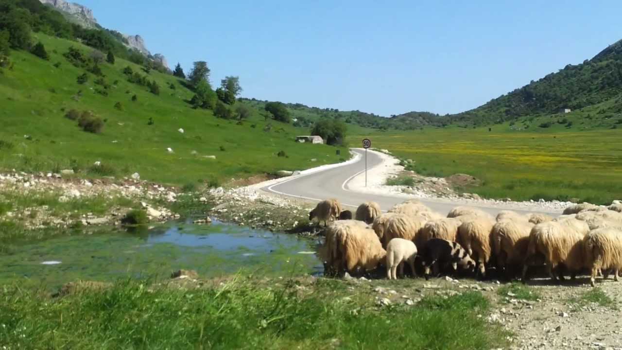 Rritja e çmimit të ujit në Durrës, shpërthen deputeti: Edhe delet kur duan ujë bëjnë ‘beee’