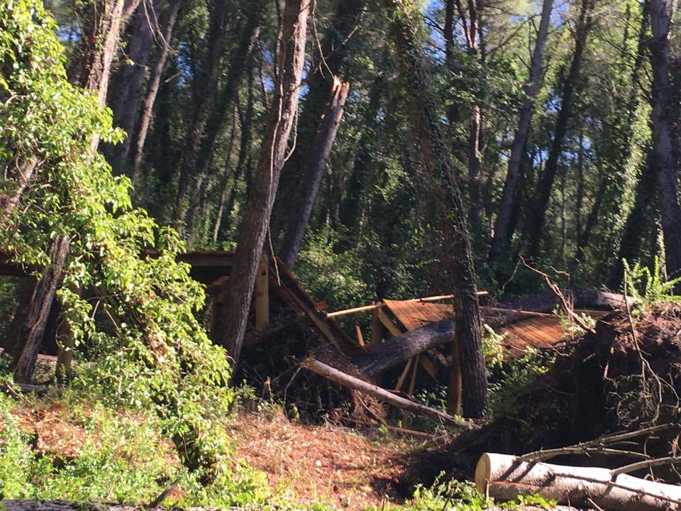 FOTO/ Divjakë, stuhia e madhe shkatërron Parkun Kombëtar