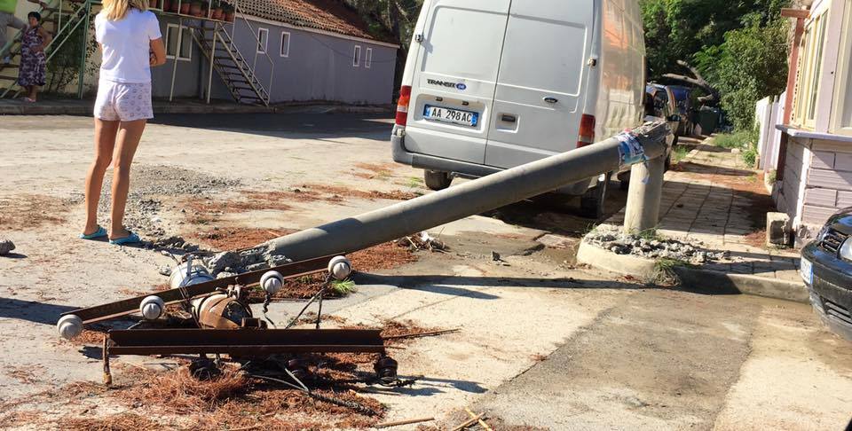 FOTO/ Divjakë, stuhia e madhe shkatërron Parkun Kombëtar