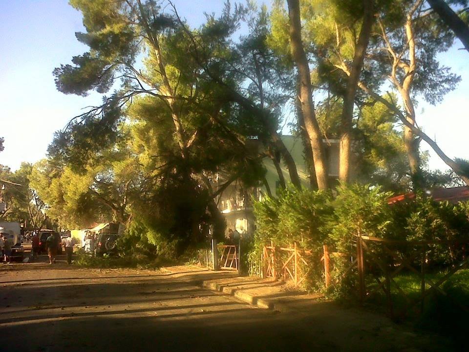 FOTO/ Divjakë, stuhia e madhe shkatërron Parkun Kombëtar