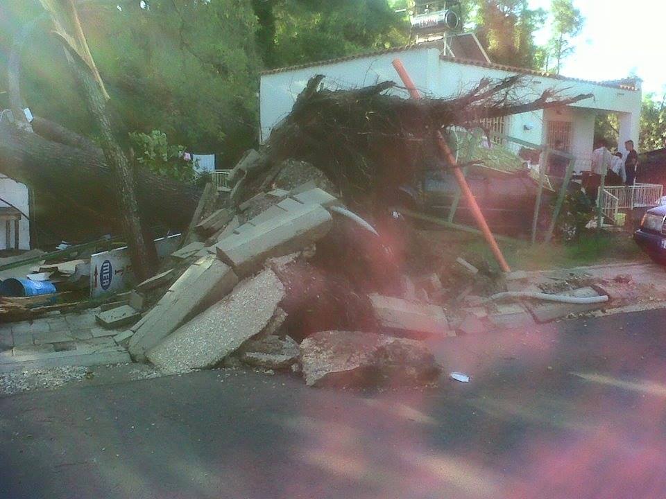 FOTO/ Divjakë, stuhia e madhe shkatërron Parkun Kombëtar