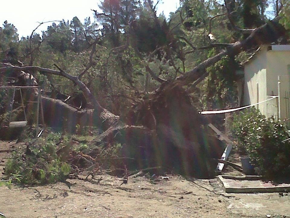 FOTO/ Divjakë, stuhia e madhe shkatërron Parkun Kombëtar