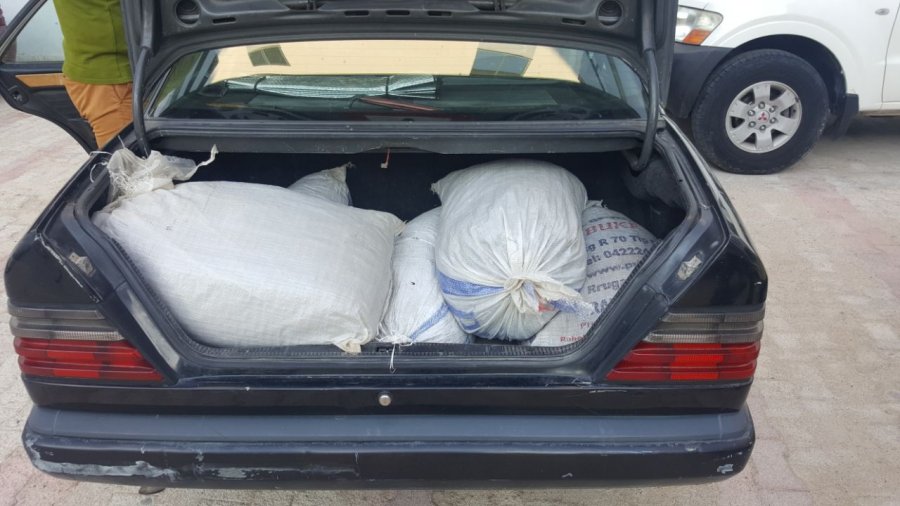 VIDEO/ Furnizonin Tiranën me kanabis, kapen 2 trafikantët nga Kruja