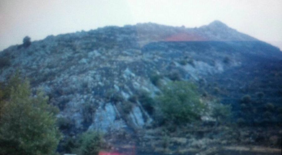 Dogji 50 ha pyll, zjarri ende nuk është shuar, 21 vjeçari përfundon në pranga