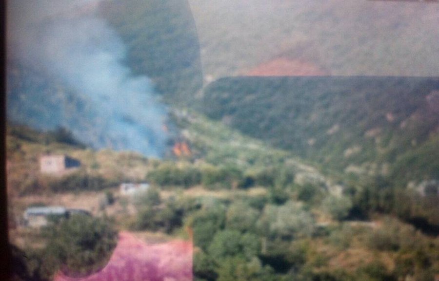 Dogji 50 ha pyll, zjarri ende nuk është shuar, 21 vjeçari përfundon në pranga