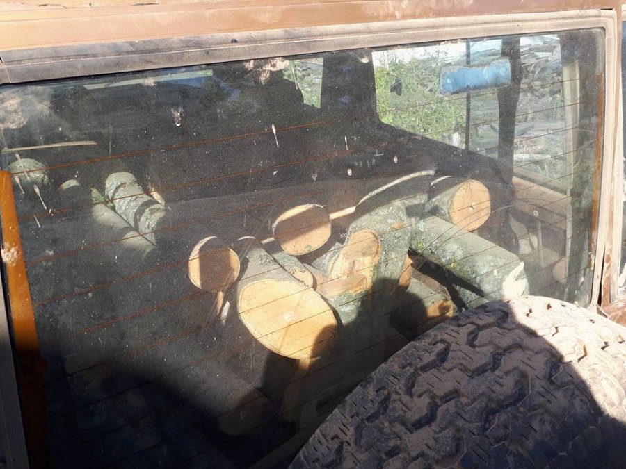 FOTO/ Elbasan, prisnin pemë dhe i shisnin, ndalohen kontrabandistët