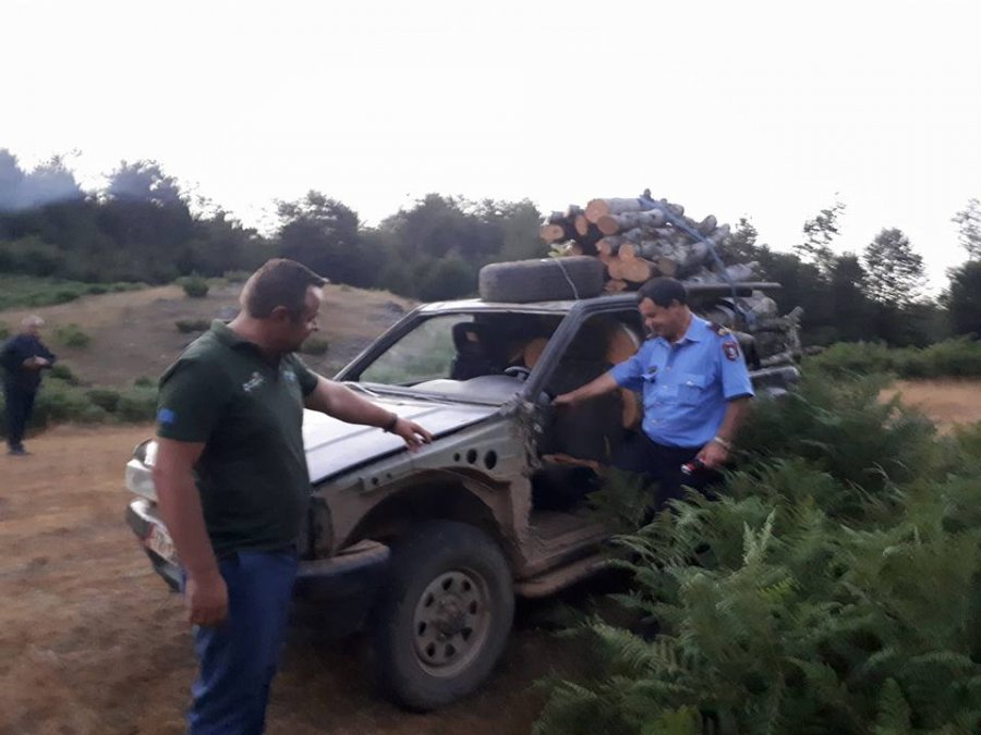 FOTO/ Elbasan, prisnin pemë dhe i shisnin, ndalohen kontrabandistët