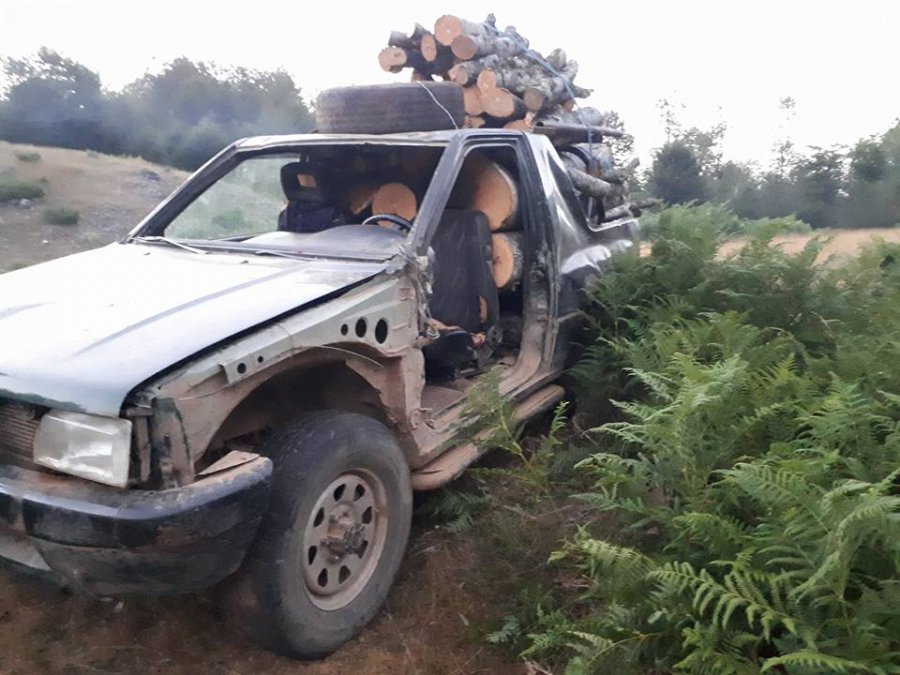 FOTO/ Elbasan, prisnin pemë dhe i shisnin, ndalohen kontrabandistët