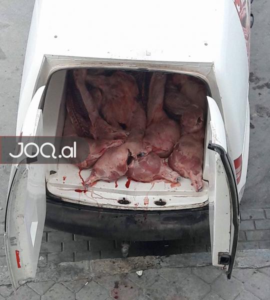 FOTO SKANDALOZE/ Ja çfarë mishi konsumojmë ne dhe në çfarë kushtesh transportohet