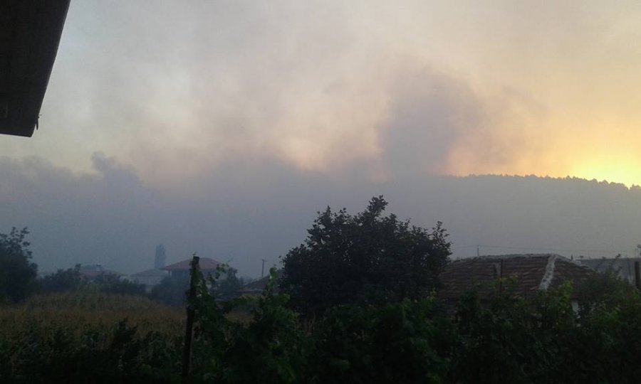VIDEO/ Elbasan, flakët në Krastë janë të pandalshme, ja situata aktuale