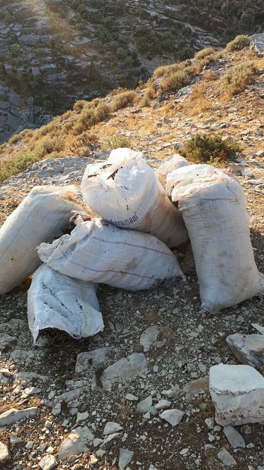 EMRI/ Gjirokastër, sekuestrohen 107 kg hashash, nën hetim kryeplaku i fshatit