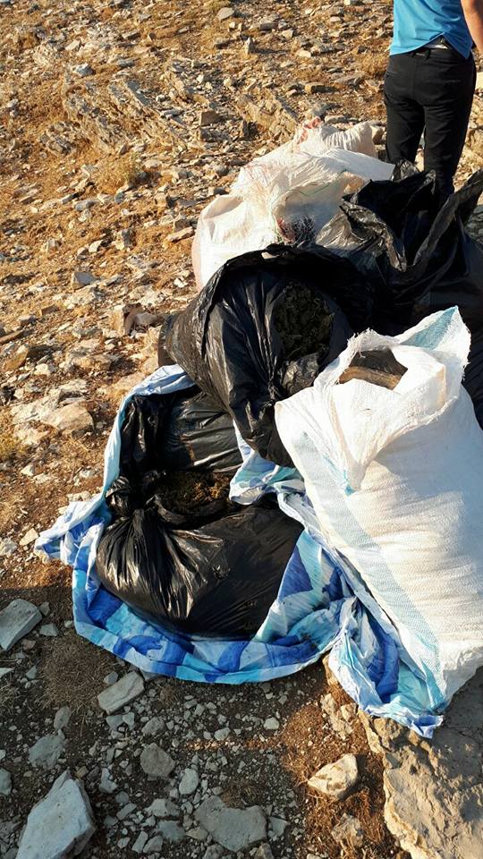 EMRI/ Gjirokastër, sekuestrohen 107 kg hashash, nën hetim kryeplaku i fshatit