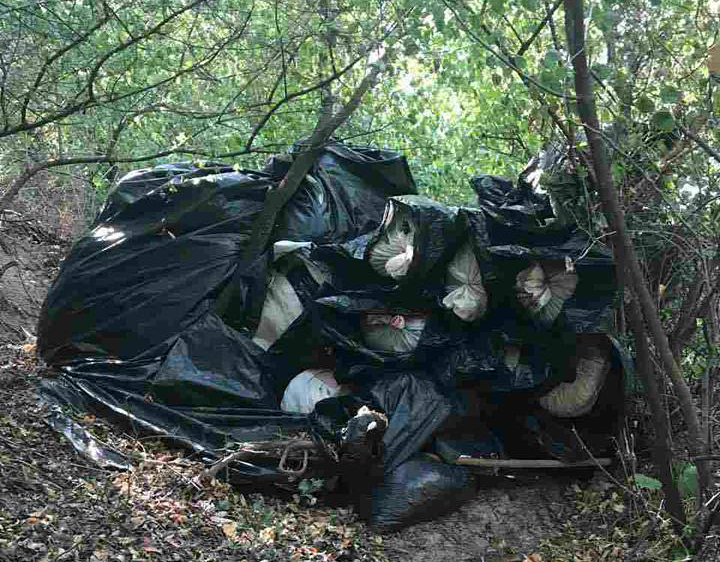 FOTO GALERI/ Memaliaj sekuestrohen mbi gjysmë ton kanabis dhe fishekë luftarakë