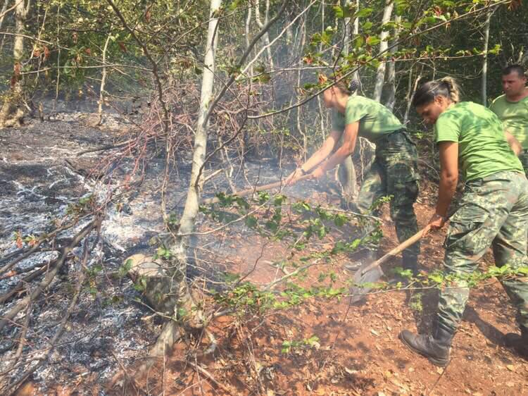 Komentuesit ironizojnë Ramën për zjarret: Me lopatë fiken zjarret o kryeministër lodër?!