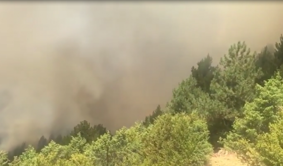 VIDEO & FOTO GALERI/ Flakë përfshijnë pikën turistike të Gjinarit, zjarri i afrohet banesave