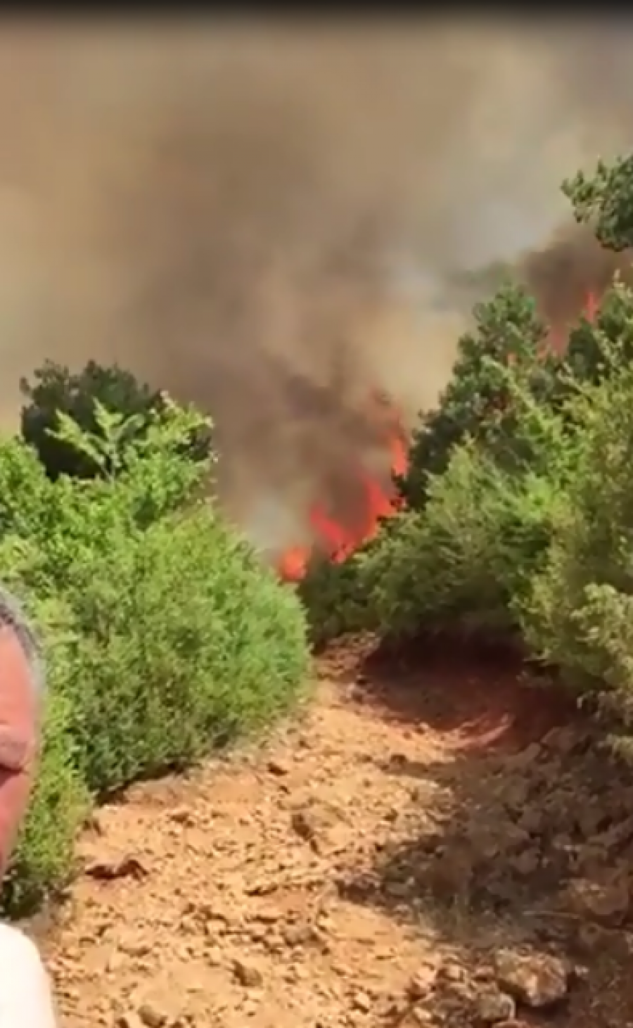VIDEO & FOTO GALERI/ Flakë përfshijnë pikën turistike të Gjinarit, zjarri i afrohet banesave