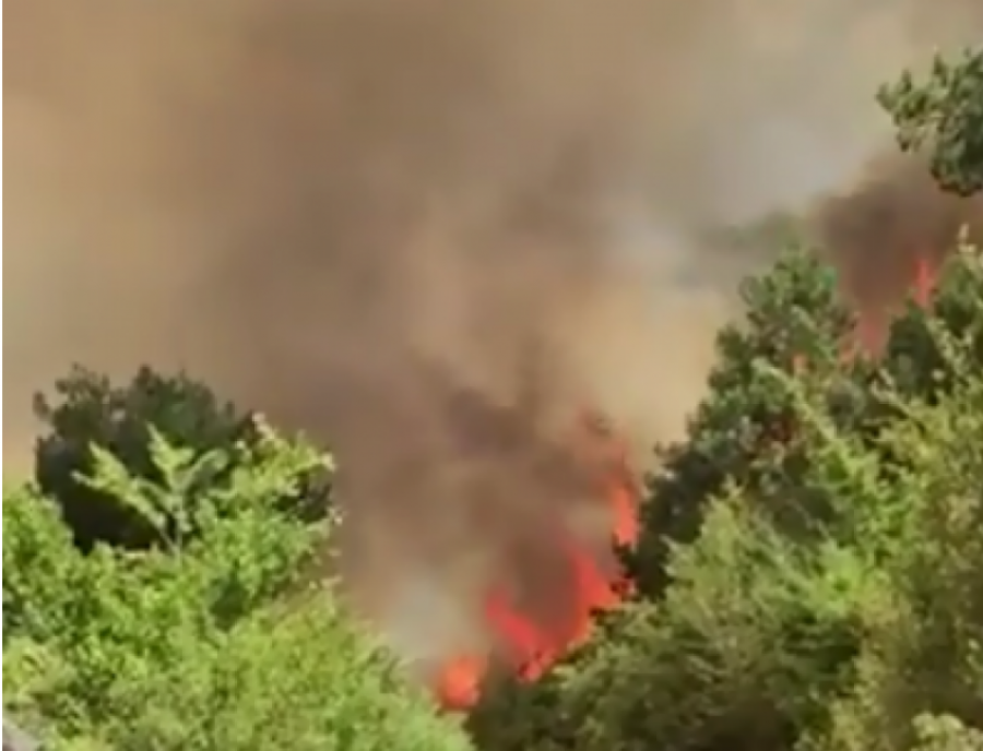 VIDEO & FOTO GALERI/ Flakë përfshijnë pikën turistike të Gjinarit, zjarri i afrohet banesave