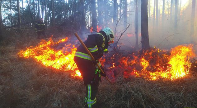 Vlorë, Kallaratin e pushtojnë flakët, banorët ngrenë alarmin