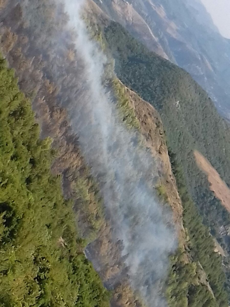 Gramsh, digjen 3 ha pisha, arrestohet një 67 vjeçar