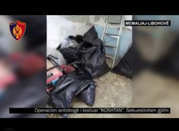 Memaliaj dhe Libohovë, policia gjen drogë dhe armë në shtëpitë e braktisura