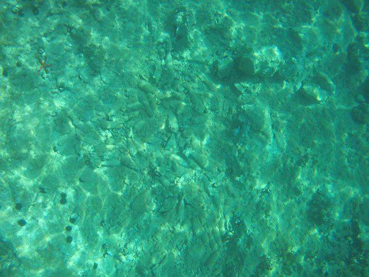 FOTO/ Zbulohet vendi i rrezikshëm në plazhin e Sarandës, shikoni predhat