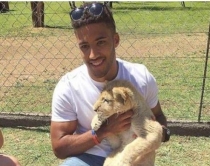 Çfarë mund të ndodhë nëse përkëdhel një luan si të ishte kotele