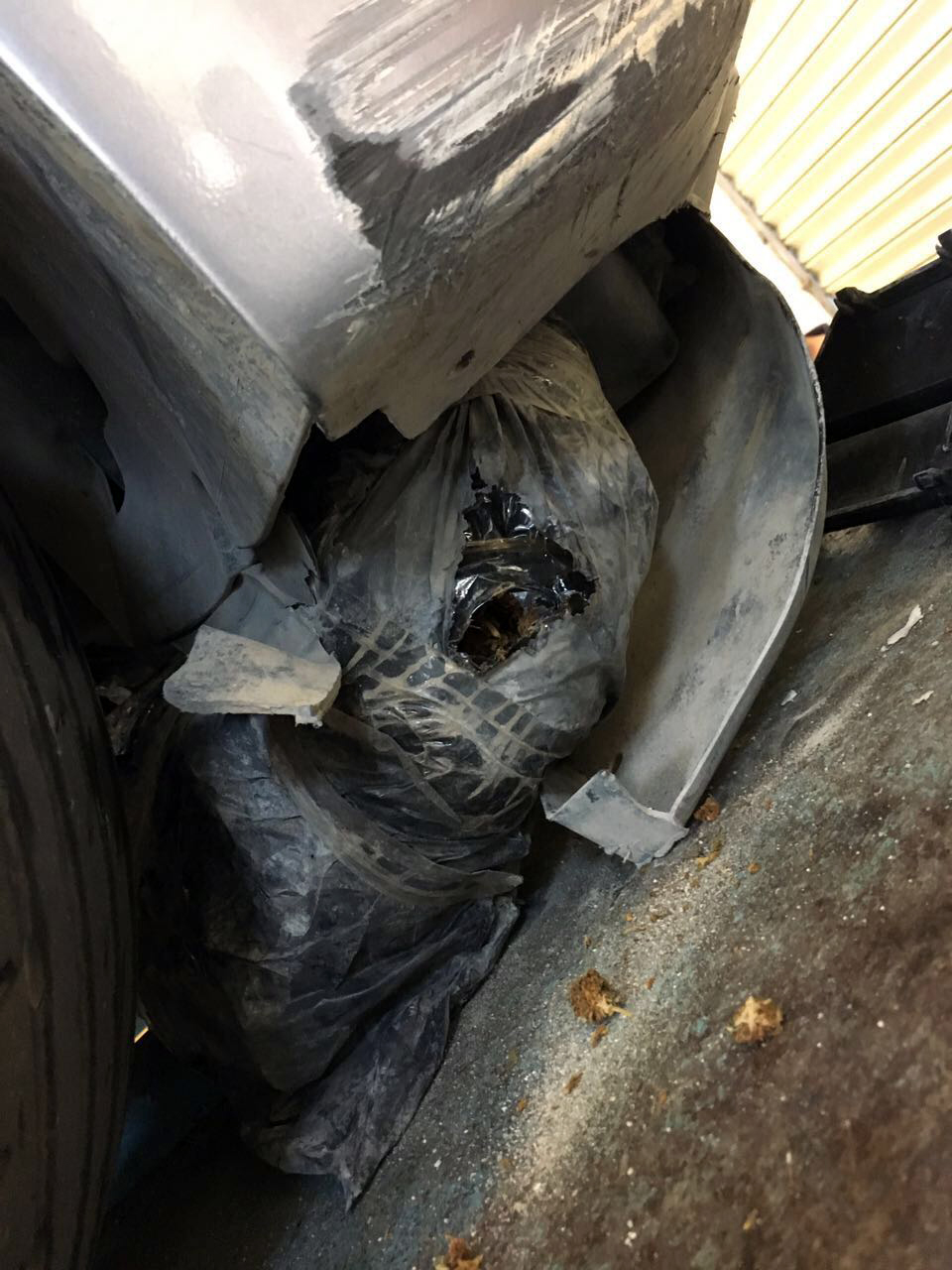 EMRI & FOTO GALERI/ Shkodër, arrestohet vlonjate tentoi të trafikonte kanabis drejt Malit të Zi