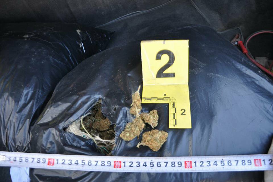 EMRA & FOTO GALERI/ Kurbin, kishin mbushur makinën me kanabis, prangosen dy vëllezër