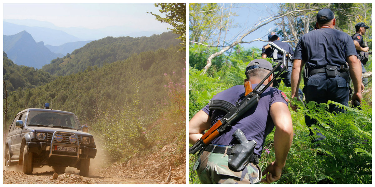 REPORTAZH/ Gazeta gjermane: Shqipëria toka e barit – një pamje dramatike e krimit të lidhur me drogën