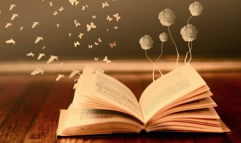 10 librat që lexojnë më shumë të rinjtë shqiptarë