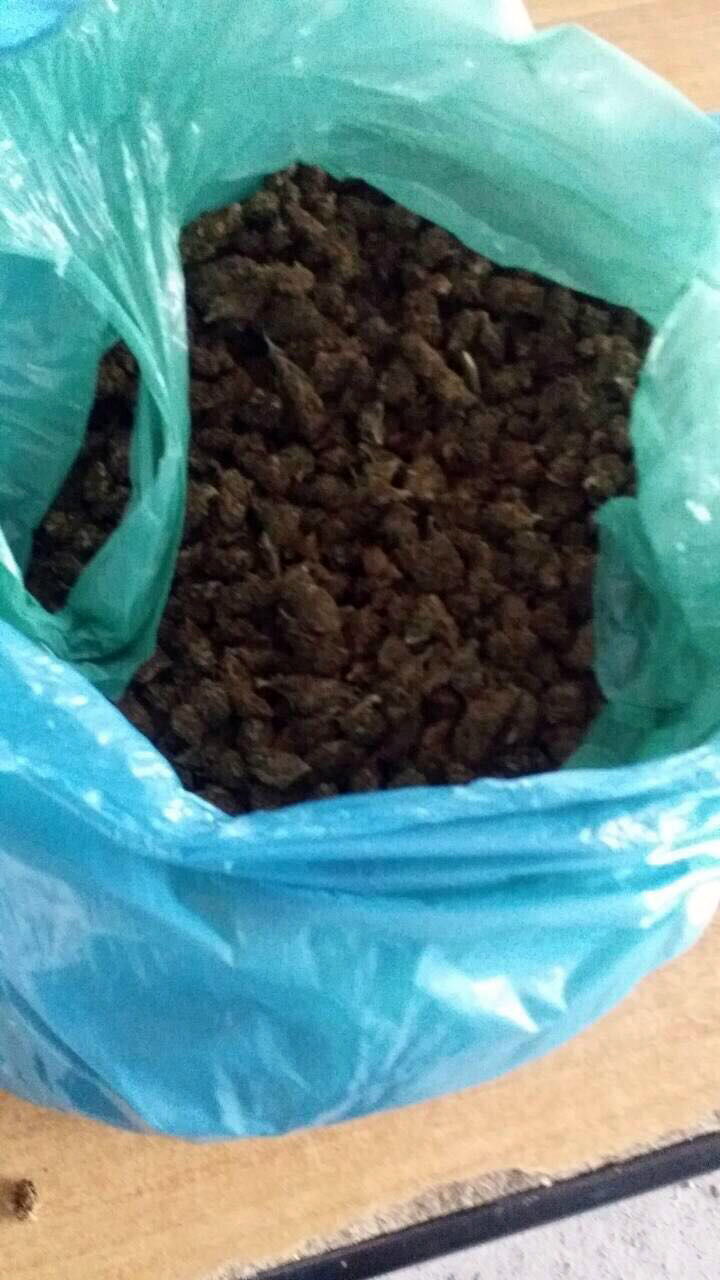 EMRI & FOTO GALERI/ Shkodër, Polica prangos islandezin në Hanin e Hotit, tentoi të “eksportonte” 5.5 kg kanabis