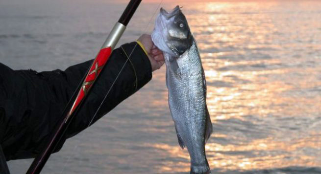 Dibër, vdes i riu, e zë korrenti ndërsa gjuante peshk në Drinin e Zi
