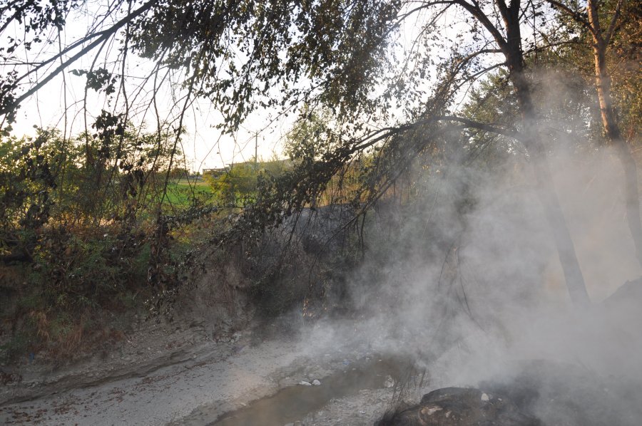 FOTO/ Peqin, donte të digjte disa ferra por shkrumboi një gomisteri
