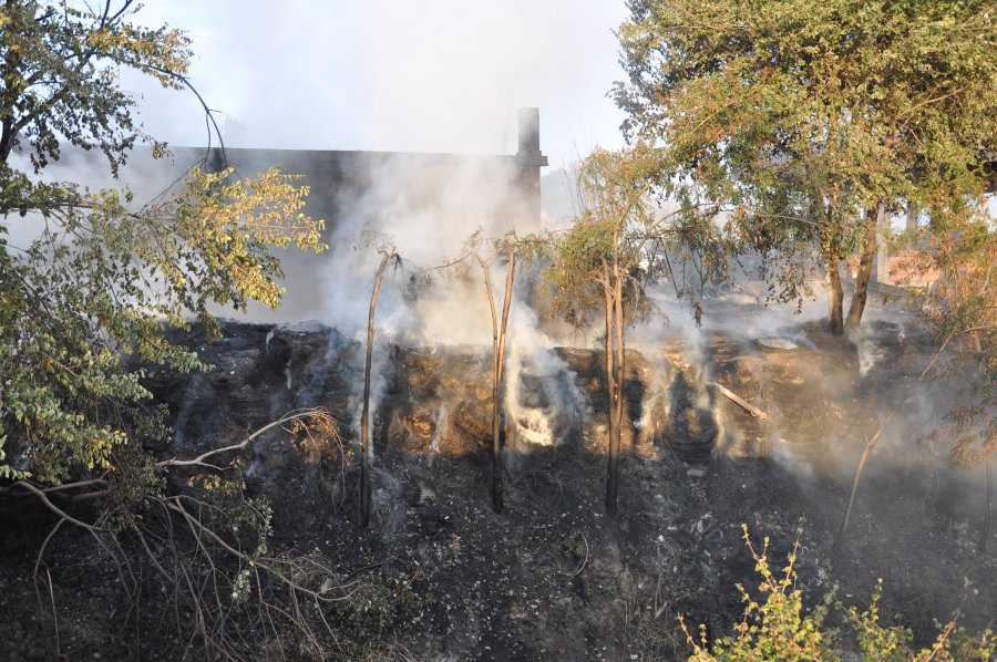 FOTO/ Peqin, donte të digjte disa ferra por shkrumboi një gomisteri