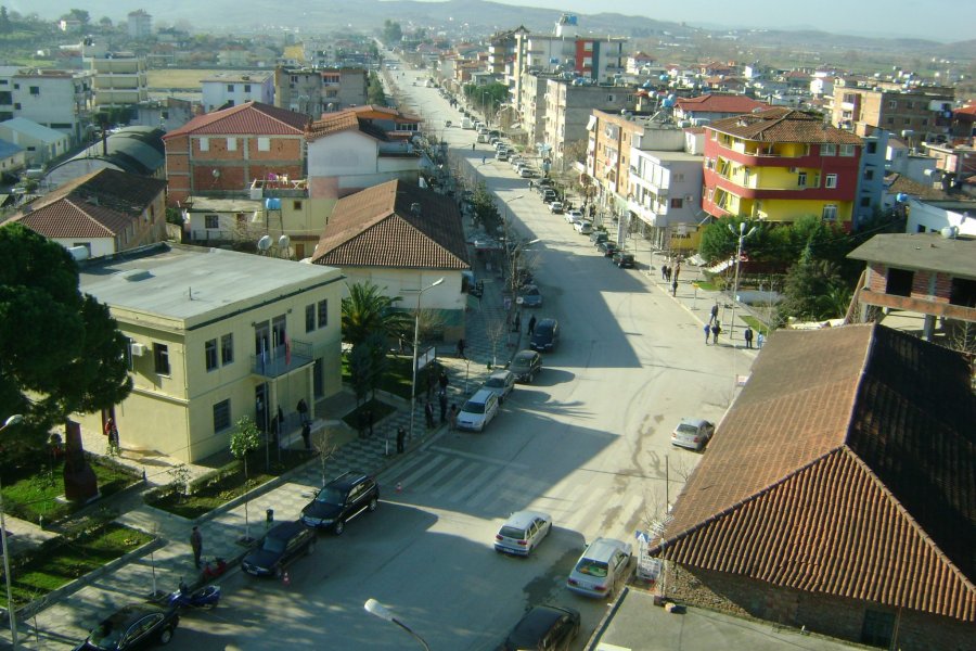 Roskovec, krimi në familje, flet policia